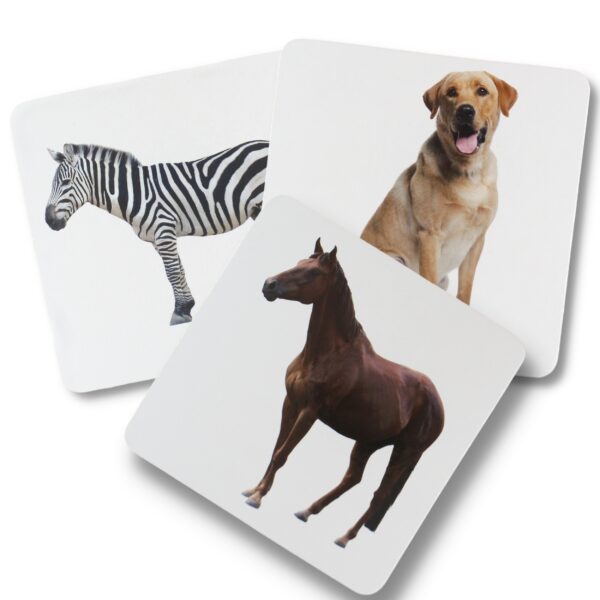 KIDLUU FLASH CARDS - ANIMALS